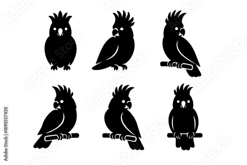 Set of black silhouettes of crested cockatoo parrots standing and sitting on a perch