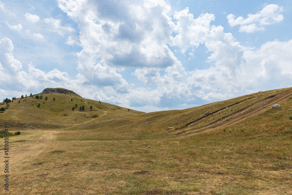 Obraz premium A vast, sunlit grassland with rolling hills beneath a bright, cloud-filled sky