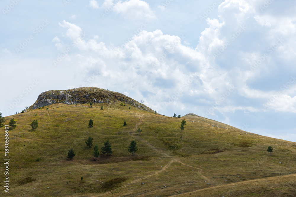 Obraz premium A grassy hill with a rocky crest, scattered trees, and a winding path