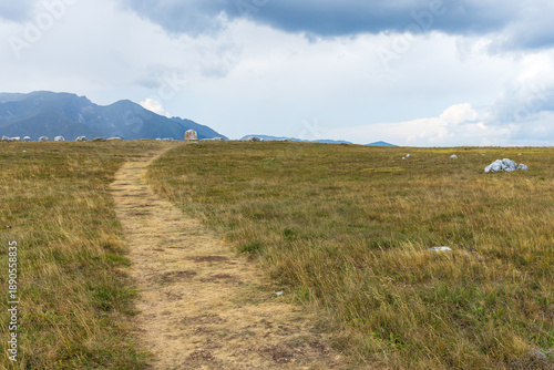 Wallpaper Mural A tranquil rural summer landscape featuring a dirt path Torontodigital.ca