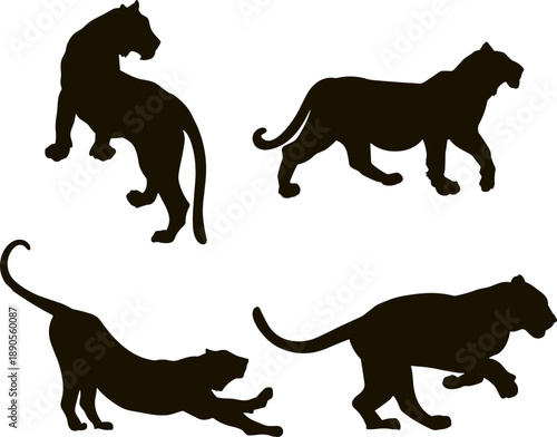 Leopard images svg, Leopard svg, Leopard Face SVG, ferocious leopard svg, Leopard head svg, Leopard svg, Leopard clipart, Cut Files, Cricut, Silhouette