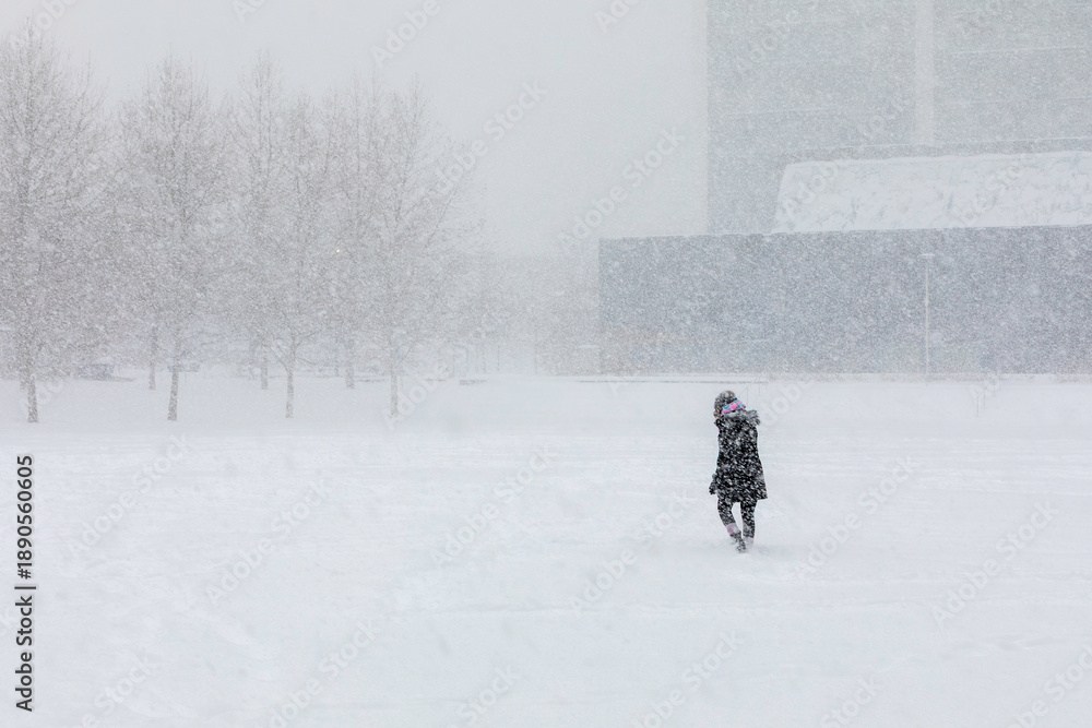 Obraz premium Woman walks in park in snowstorm.