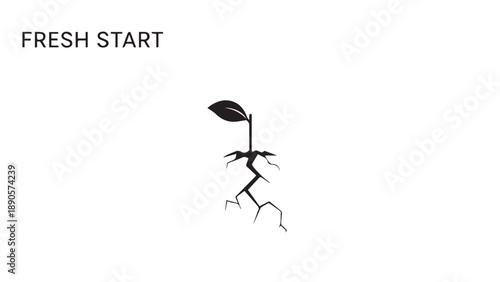 Close-up of a young plant sprouting from the soil with a small leaf at the top.