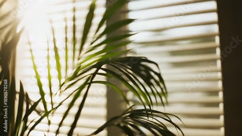 Green palm leaves are bathed in warm golden sunlight entering a room through horizontal window blinds, creating a tranquil and natural indoor ambiance