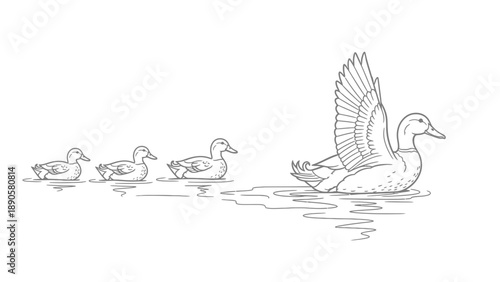 Charming Family of Ducks Migrating Across Serene Pond for All Ages. transparent.