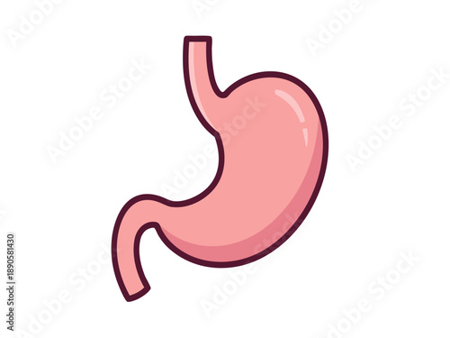 Wallpaper Mural A detailed vector illustration of a human stomach, perfect for medical and educational content Torontodigital.ca