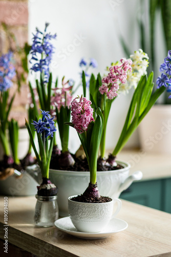 Floral cozy home decor for Easter holiday celebration. Fresh blooming spring hyacinth flowers. Beautiful house interior design, seasonal decoration