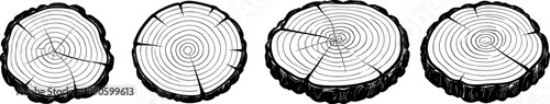 Tree Rings Cross Section Set with Wood Trunk Slices and Natural Growth Patterns