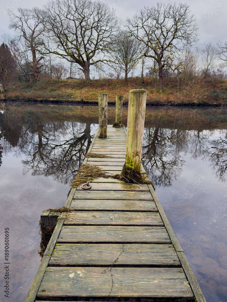 Fototapeta premium Old wooden jetty extending into a calm river with mirror-like reflections of bare winter trees.