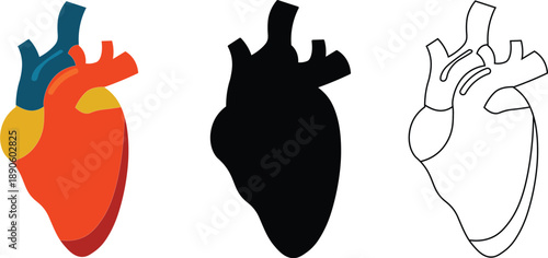 Medical heart organ vector illustration for cardiology and healthcare design
