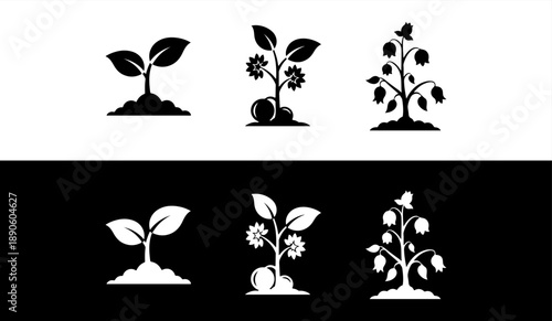 Plant growth stages silhouette icon set
