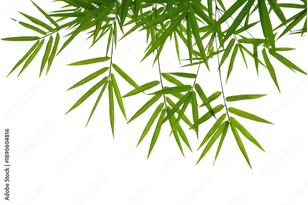 image to crop