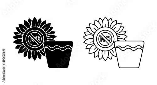 Watering plant sunflower care gardening