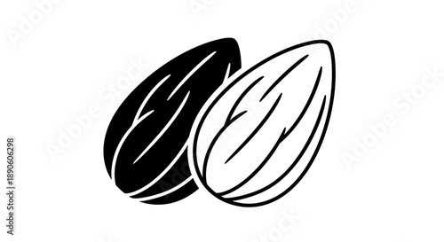Almonds food illustration black white