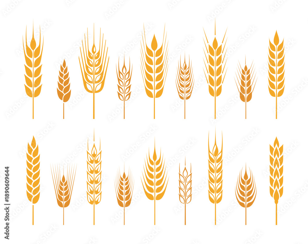 Fototapeta premium Wheat ear. Set of cereal signs and symbols. Wheat icons set. Grain, ear of wheat and wreath. Organic wheat, bread agriculture and natural eat, rice isolated on white background. Isolated silhouette. V