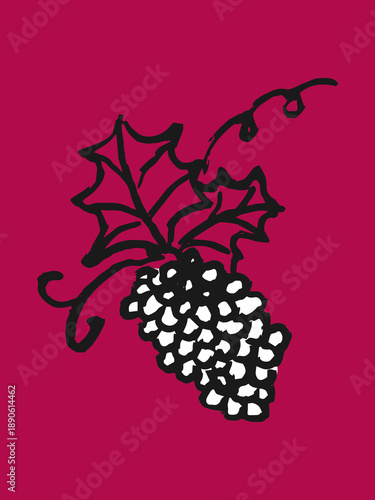 Hand-drawn grape illustration in black white colors on winery bg, vector food art.