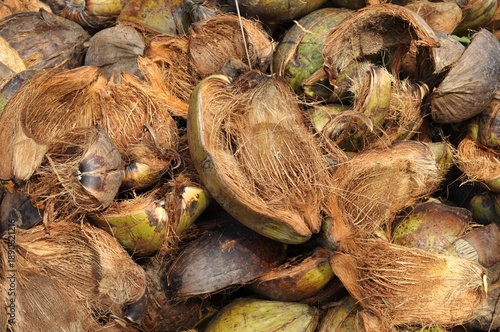 Wallpaper Mural Pile of Dried Coconut Husks and Shells for Natural Texture Background Torontodigital.ca