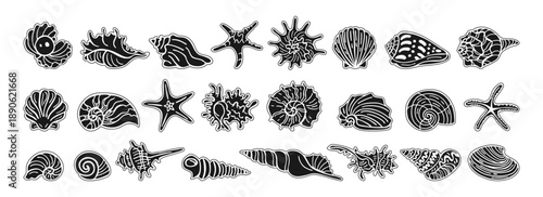 Various seashells and starfish ink silhouette style sticker set hand drawn vector illustration. Summer ocean beach theme marine isolated elements coastal vacation tropical nautical sticker design