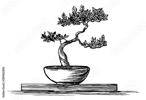 Hand drawn line art illustration of a potted bonsai tree depicting miniature nature for decorative elements