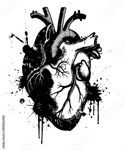 Hand drawn line art illustration of an anatomical heart depicting a detailed organ with artistic grunge splatters for creative concepts