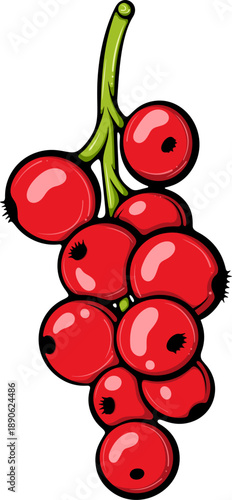 Ripe red currant berry cluster close up. Botanical illustration ideal for labels, food-themed prints. Organic food. Simple vector color illustration with outline in hand drawn style isolated on white