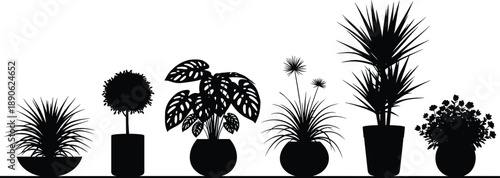 Black silhouettes of potted plants on white background