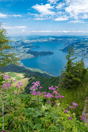 Wallpaper Mural Scenic Zug Lake View with Wildflowers Torontodigital.ca