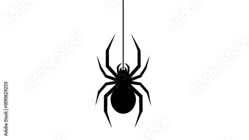 Black Spider Hanging on Silk Thread Vector Illustration Minimalist Graphic Design for Halloween and Horror Themes
