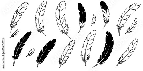 Feather icons. Set of black feather icons isolated. Feather silhouettes.
