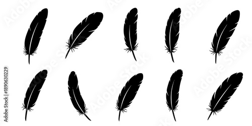 Feather icons. Set of black feather icons isolated. Feather silhouettes.
