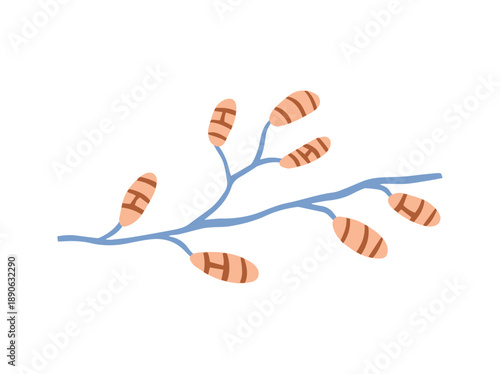 Spore Ulocladium Fungus Clip Art
