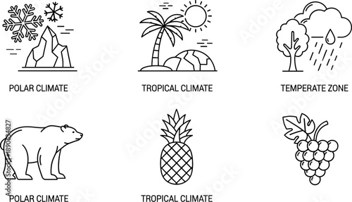 Set of icons representing different climate zones and their associated flora and fauna