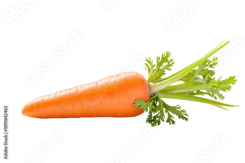 A high-quality image of a single carrot on a clean white background, ideal for food-related content