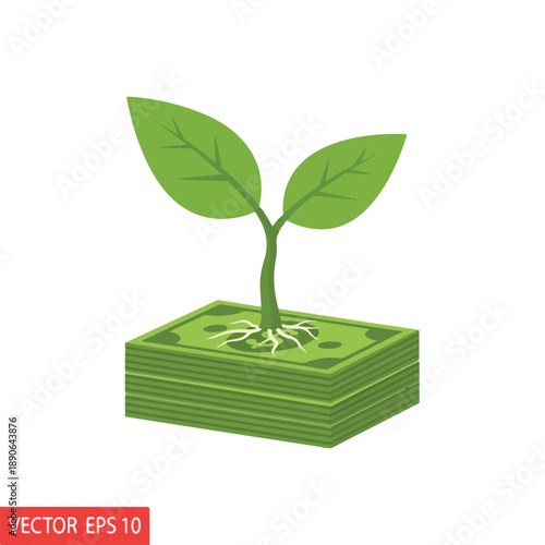 Money Growth and Plant Investment Concept