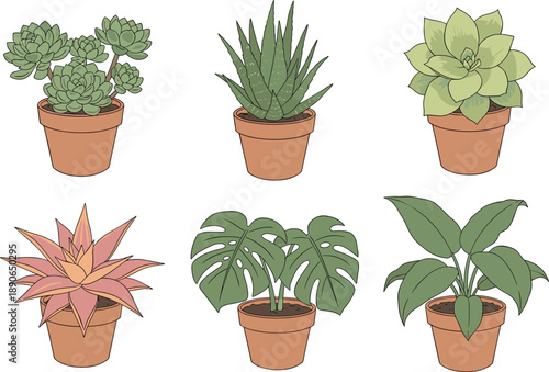 Flat Vector Illustration Set of Potted Houseplants and Succulents Including Monstera, Aloe Vera, and Echeveria in Terracotta Clay Pots for Minimalist Interior Design
