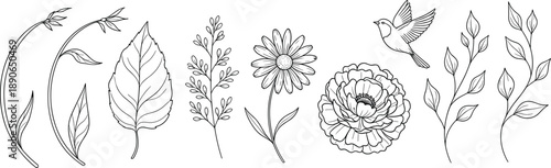 Canvastavla Minimalist Black and White Botanical Line Art Illustration Set Featuring Wildflo