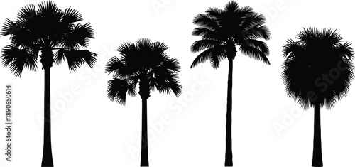 Set of Four Detailed Black Palm Tree Silhouettes Featuring Various Tropical Species Isolated on White Background for Travel Landscape and Summer Vacation Design Projects