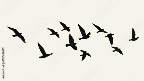 A flock of birds flying in silhouette against a light background.