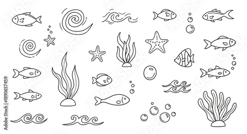 Hand-Drawn Ocean Life - Fish, Seaweed, Starfish, and Bubbles.