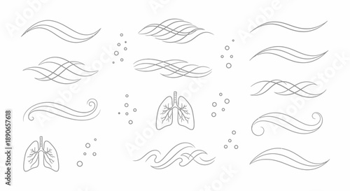 Human Lungs and Respiratory System with Airflow and Oxygen Bubbles.