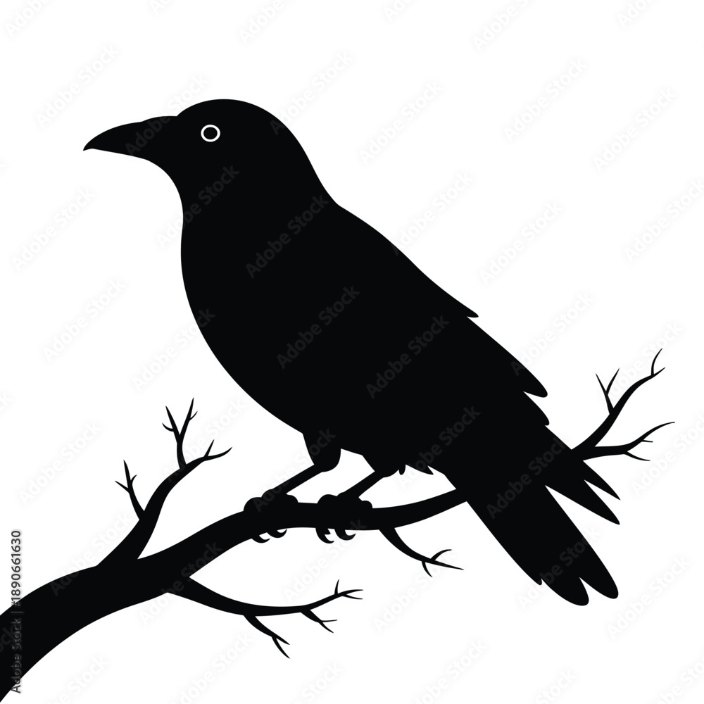 Fototapeta premium Black bird silhouette perched on a tree branch desi