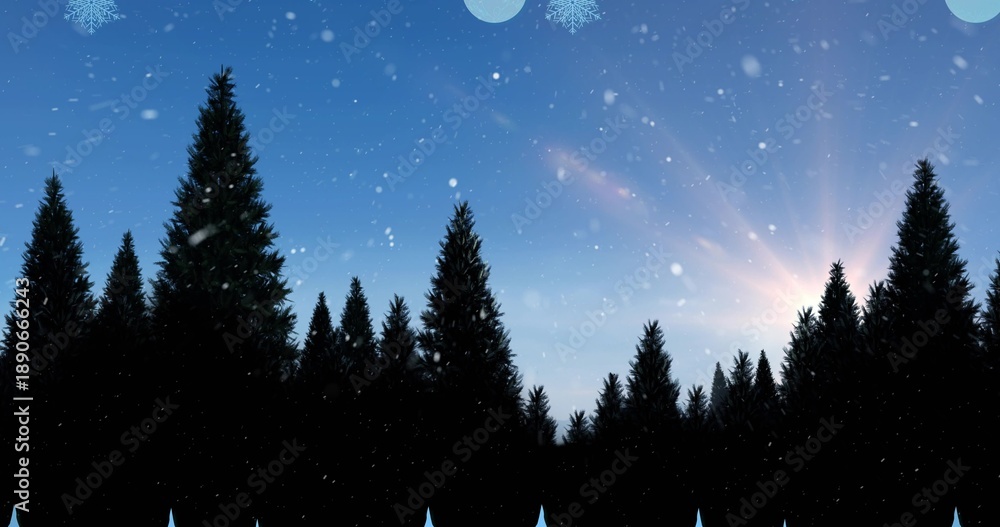 Fototapeta premium Framing conifer tree line forming jagged horizon at forest edge with sunburst and falling flakes