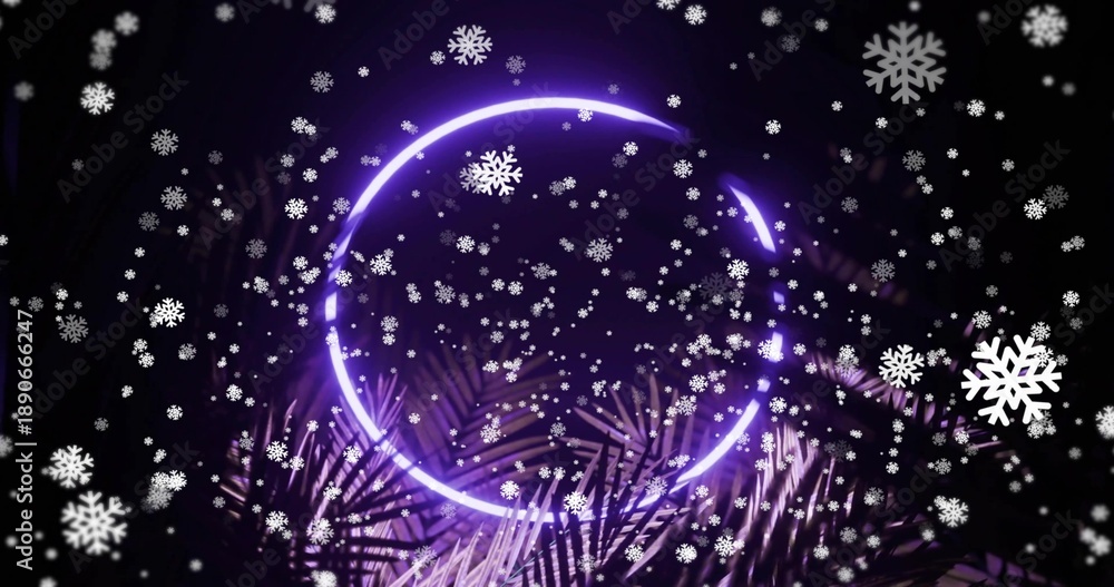 Obraz premium Glowing purple open neon ring centering scene in studio, with dark fronds and falling snowflakes