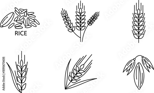 Collection of line art icons representing various grains like rice, wheat, and oats