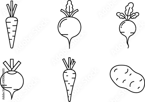 Collection of simple line art icons representing root vegetables and a potato