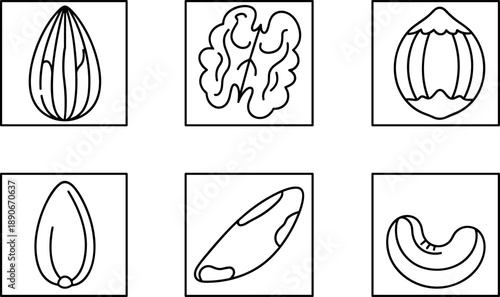 Collection of six different nut and seed icons in a simple line art style