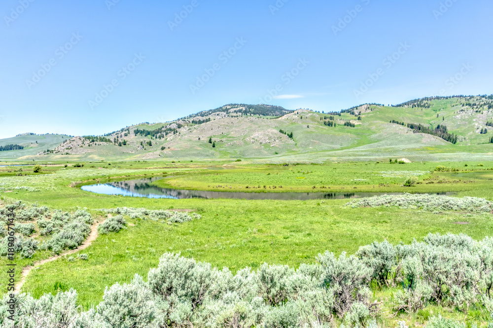 Obraz premium A grassy field with a river running through it