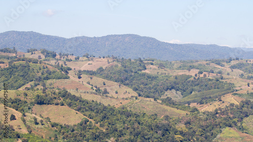 Slika na platnu Deforestation on mountain slopes: bald hills, land clearance, and degradation causing air pollution, PM2