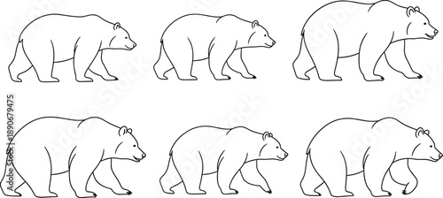 Bear walking line art illustration set featuring multiple smooth gait poses, clean hand drawn wildlife mammal outlines isolated on white background for nature and animal design
