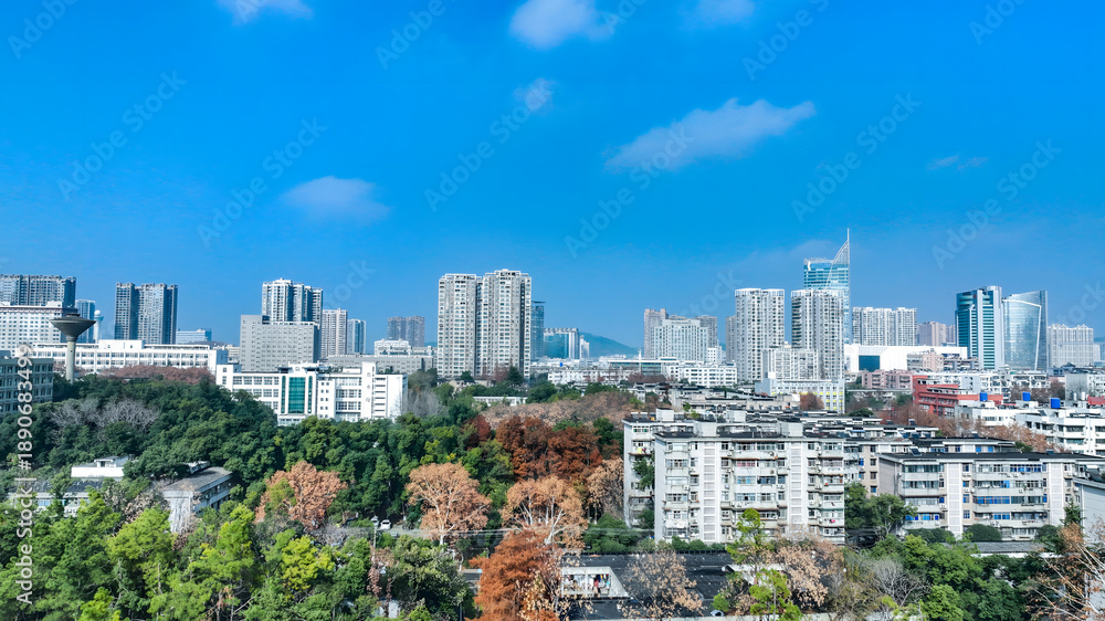 Obraz premium Wuhan Cityscape Shows Modern Urban Development Mixing with Nature and Green Space